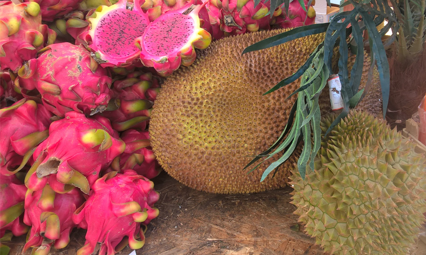 exotic-fruit